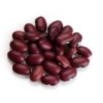 Purple Kidney Bean